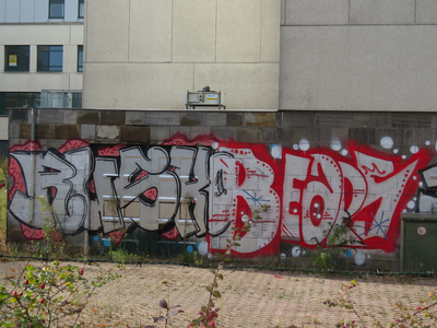 833327 Afbeelding van graffiti met de teksten 'RUSKO' en 'BEAPS', op een zijvleugel van het voormalige ziekenhuis ...